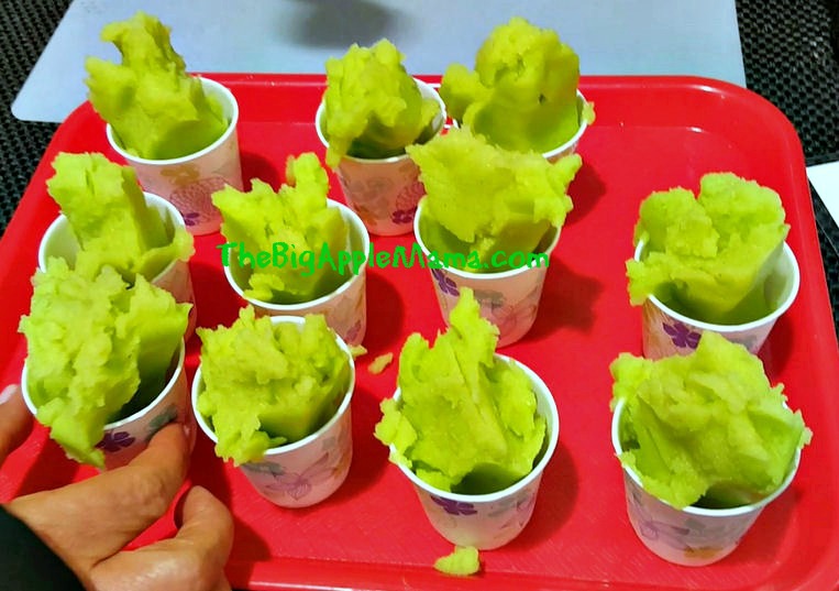 lemon-lime-sorbet-blender