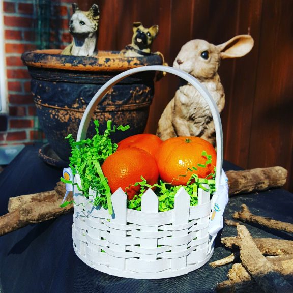 Clementine Easter basket with Wonderful Halos