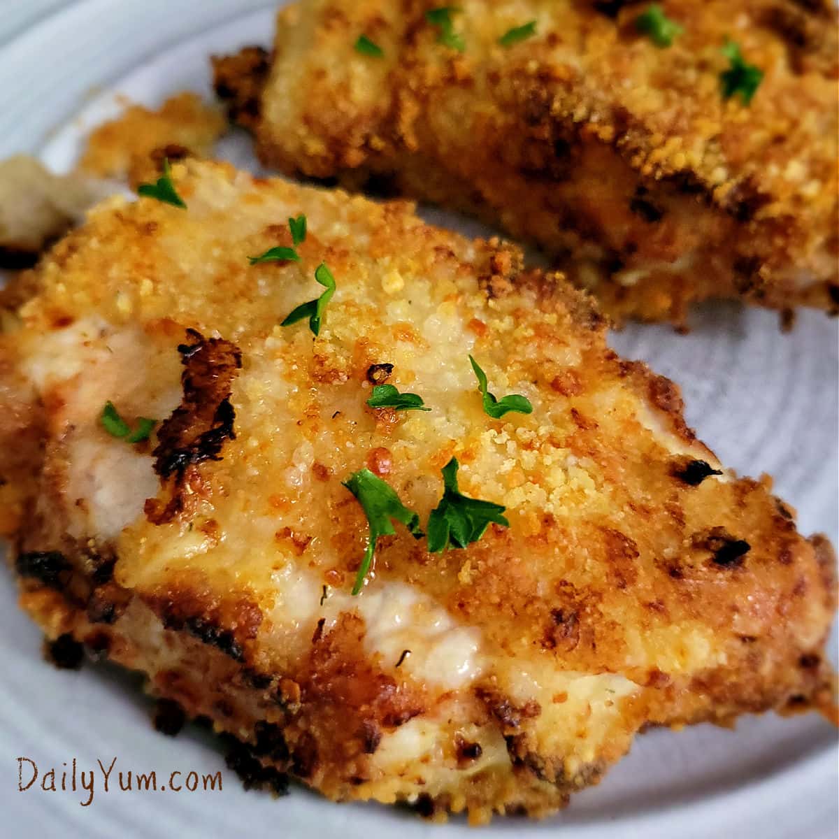 Best Damn Air Fryer Breaded Pork Chops