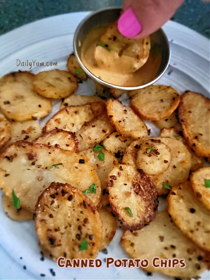 Crispy Air Fryer Canned Potato Chips