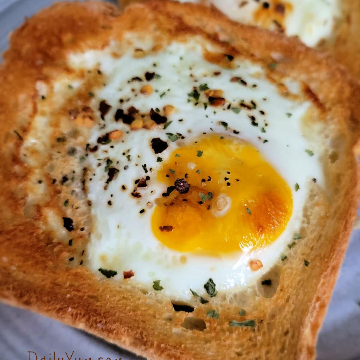 perfect egg in toasty bread