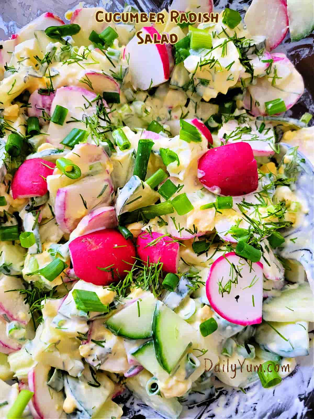 creamy salad with cucumbers and radishes