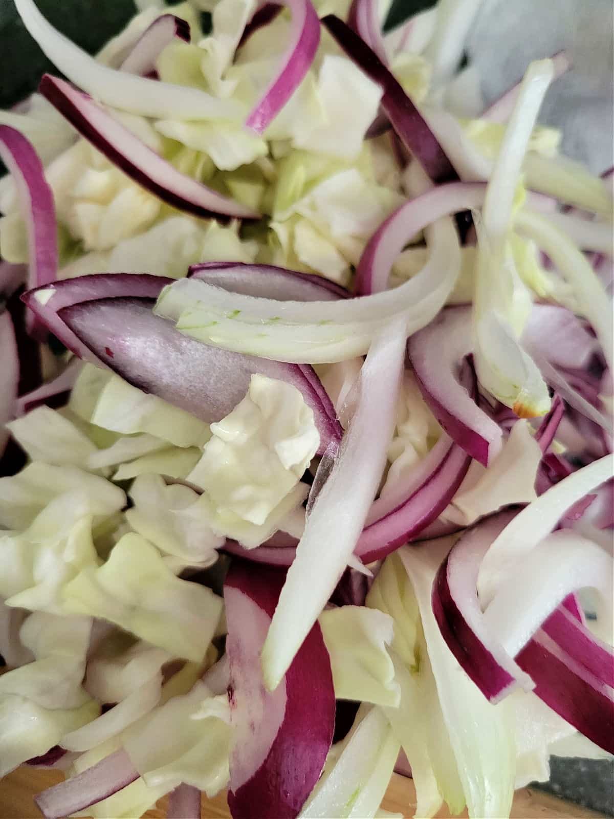 thinly sliced cabbage and red onion