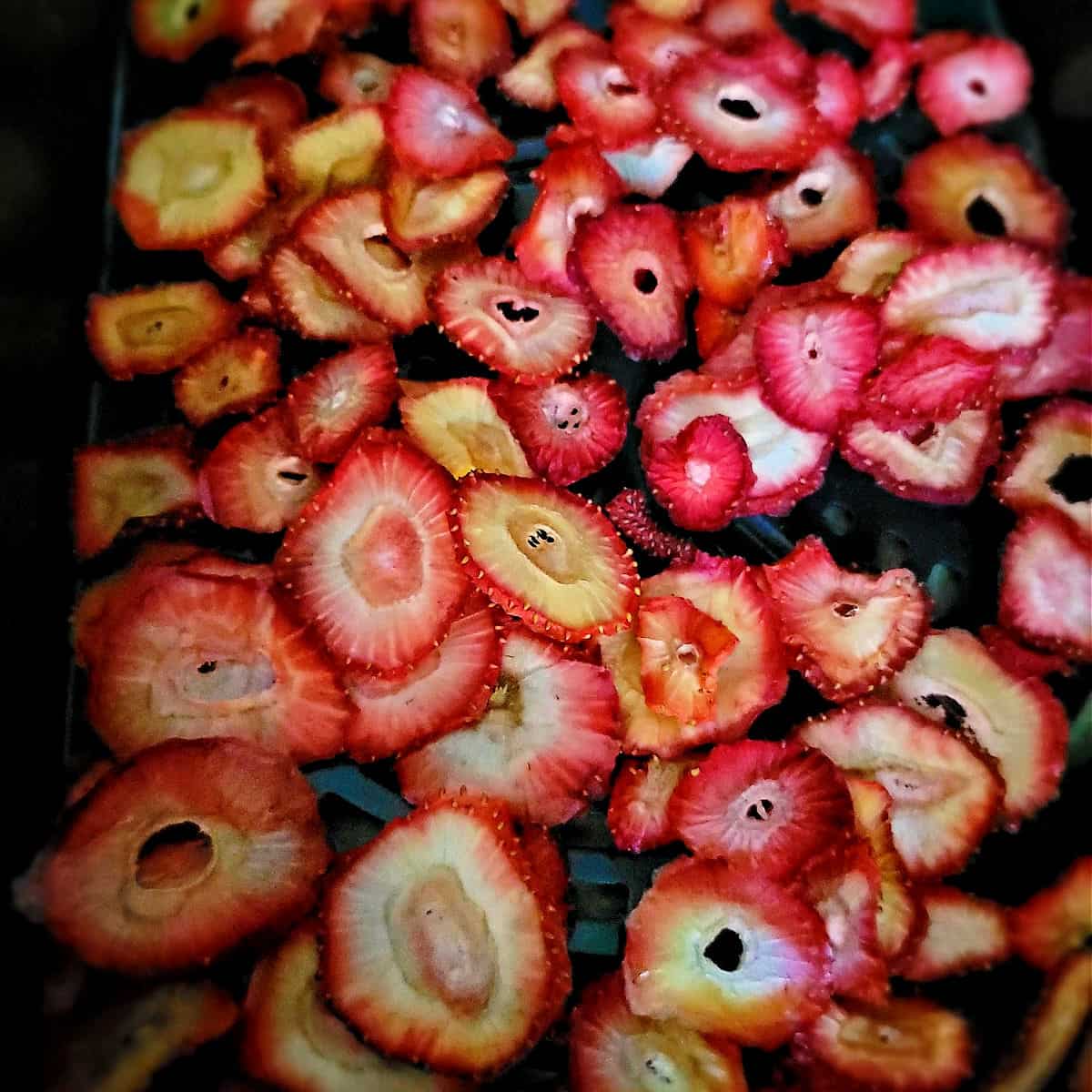bright red dry strawberries