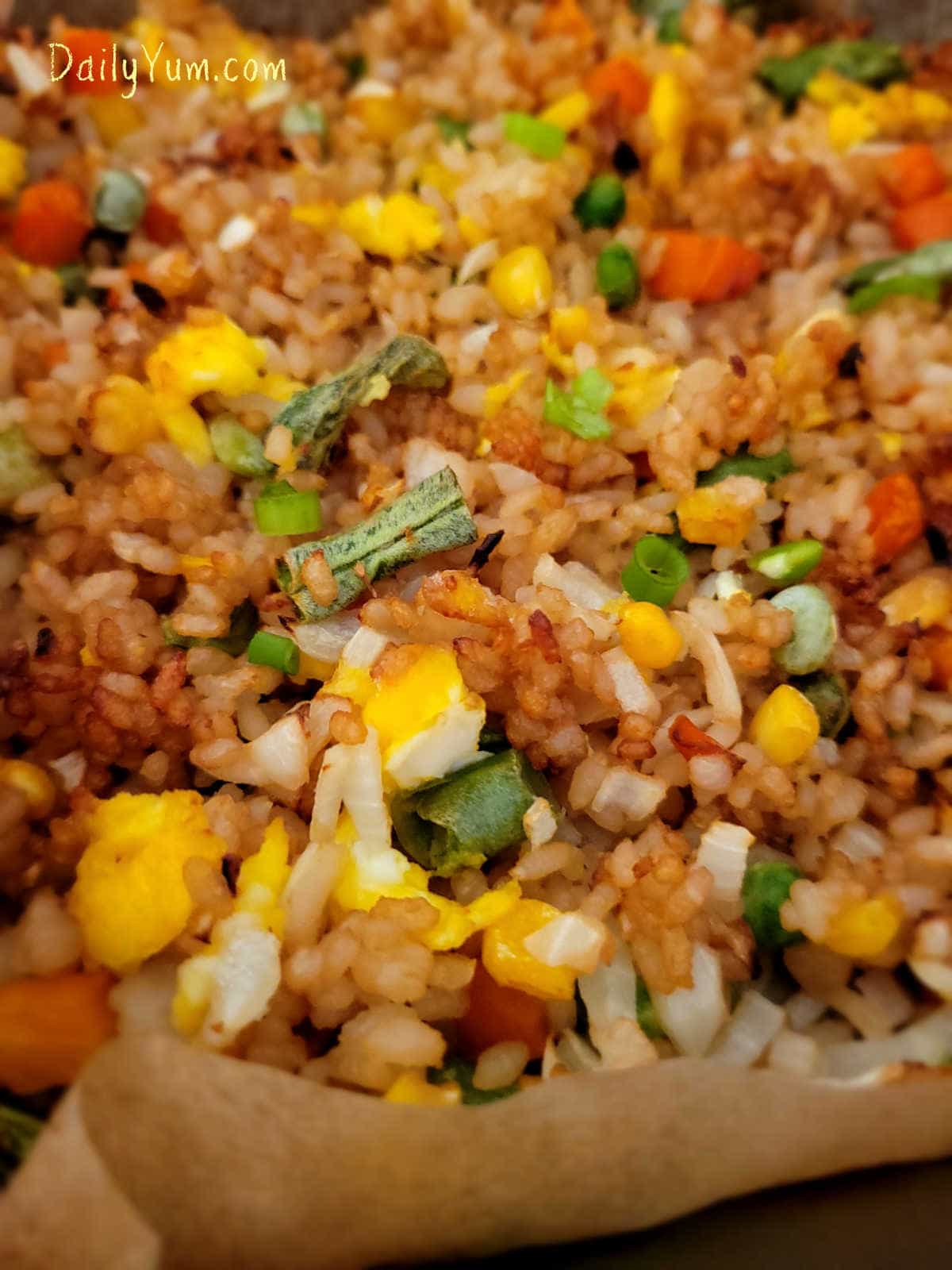 close up of crispy fried rice