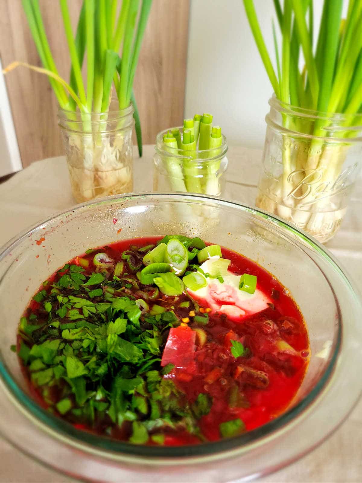 Bowl of homemade borscht topped with freshly chopped regrown green onions, showcasing vibrant colors and hearty vegetables.